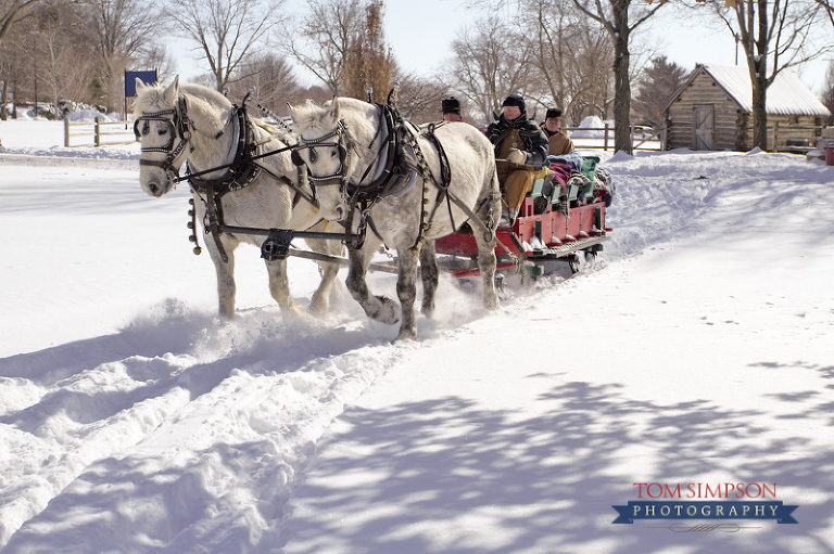 nauvoo teamsters giving rides in sleigh