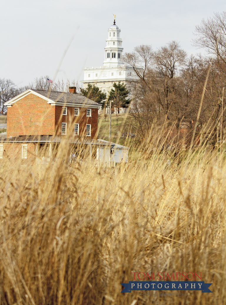 prairie grass before fire demonstration in historic nauvoo photo by tom simpson