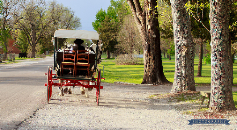 historic nauvoo carriage ride