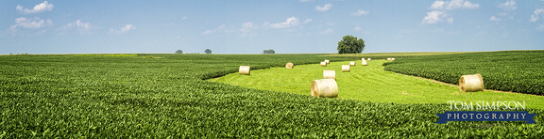 nauvoo il photographer tom simpson photo of midwest farm