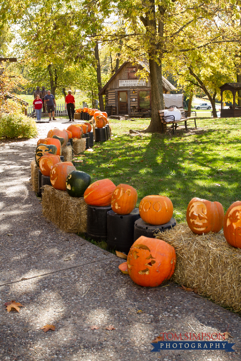 a few of the 500 pumpkins at boo-ti-ful nauvoo