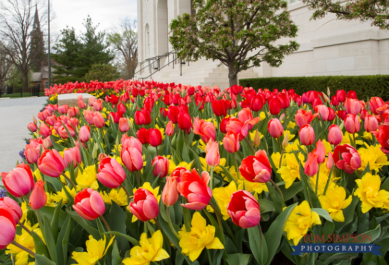 nauvoo lds photographer tom simpson