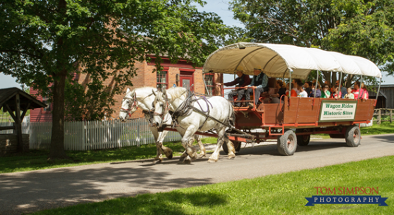 nauvoo photographer tom simpson wagon ride tours in nauvoo