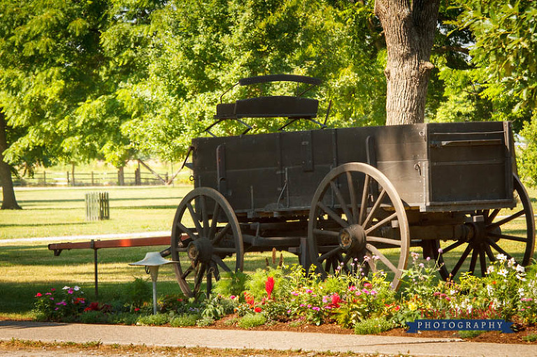 buckboard amid flowers in historic nauvoo tom simpson photography