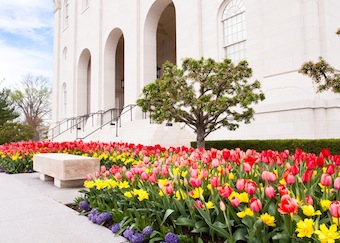 nauvoo temple arches tom simpson photography