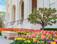 nauvoo temple arches spring tulips