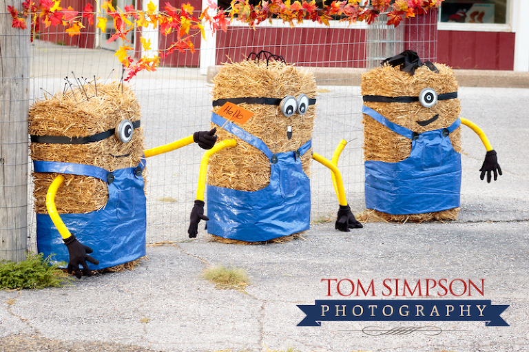 nauvoo fall minions tom simpson photography