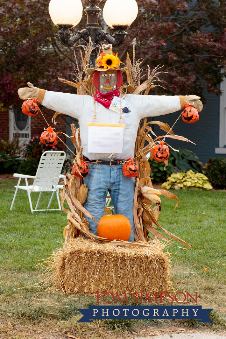 persica the owl scarecrow tom simpson photography