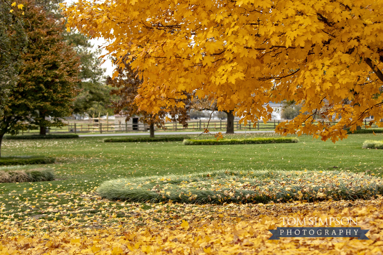 fall colors in historic nauvoo il tom simpson photography