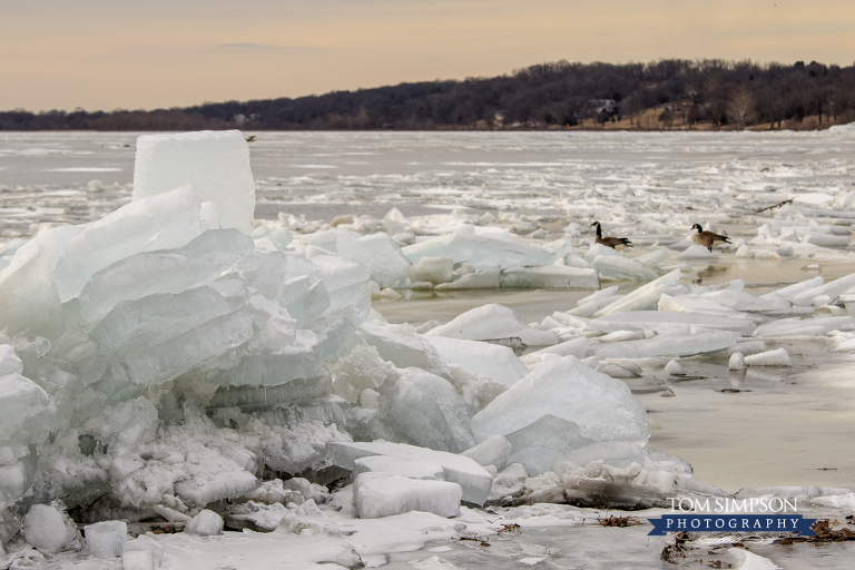 chunks of ice floating on the mississippi river nauvoo images