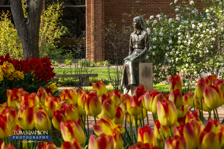 nauvoo spring photography tom simpson