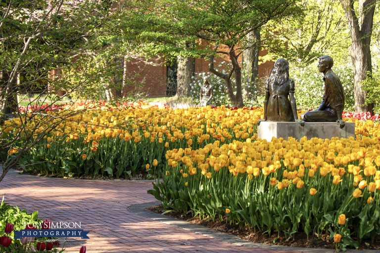 nauvoo spring tom simpson photography