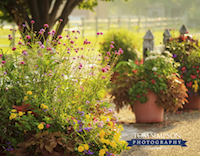 historic nauvoo main street flowers
